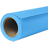pap 1