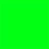 GREEN SCREEN